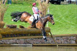 radolfzell-2015_cic1-083-jpg