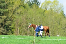 radolfzell-2015_cic1-084-jpg