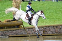 radolfzell-2015_cic1-087-jpg