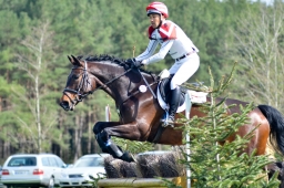 radolfzell-2015_cic1-089-jpg