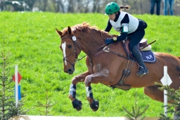 radolfzell-2015_cic1-091-jpg
