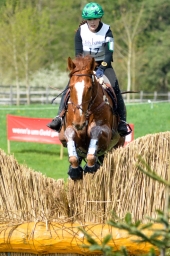 radolfzell-2015_cic1-093-jpg