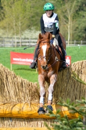 radolfzell-2015_cic1-094-jpg