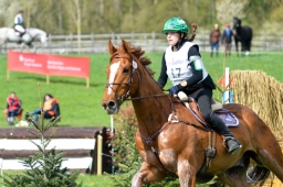 radolfzell-2015_cic1-095-jpg
