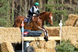 radolfzell-2015_cic1-096-jpg