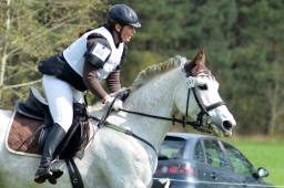 radolfzell-2015_cic1-100-jpg