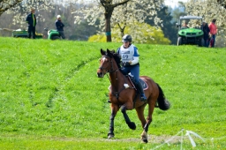 radolfzell-2015_cic1-101-jpg