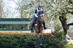 radolfzell-2015_cic1-103-jpg