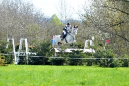 radolfzell-2015_cic1-105-jpg