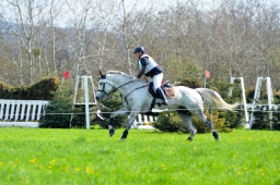 radolfzell-2015_cic1-106-jpg