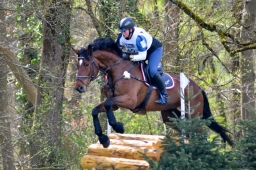 radolfzell-2015_cic1-107-jpg