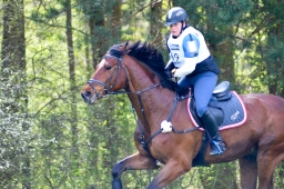 radolfzell-2015_cic1-108-jpg