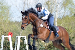 radolfzell-2015_cic1-109-jpg