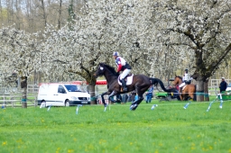 radolfzell-2015_cic1-112-jpg
