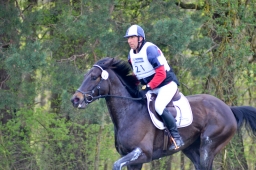 radolfzell-2015_cic1-114-jpg
