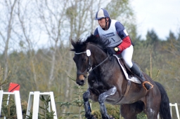 radolfzell-2015_cic1-115-jpg