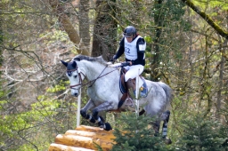 radolfzell-2015_cic1-116-jpg