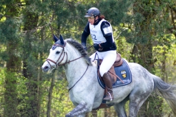 radolfzell-2015_cic1-117-jpg