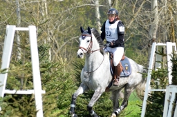 radolfzell-2015_cic1-118-jpg