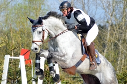 radolfzell-2015_cic1-120-jpg