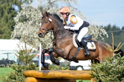 radolfzell-2015_cic1-121-jpg