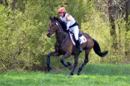 radolfzell-2015_cic1-122-jpg