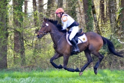 radolfzell-2015_cic1-123-jpg
