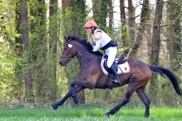 radolfzell-2015_cic1-124-jpg