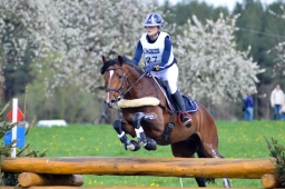 radolfzell-2015_cic1-125-jpg