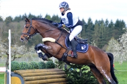 radolfzell-2015_cic1-127-jpg