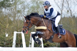 radolfzell-2015_cic1-129-jpg