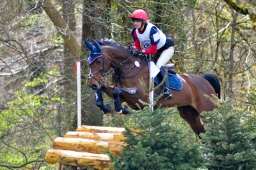 radolfzell-2015_cic1-130-jpg
