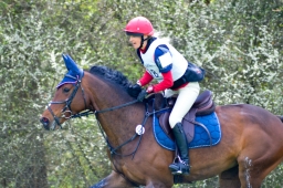 radolfzell-2015_cic1-131-jpg