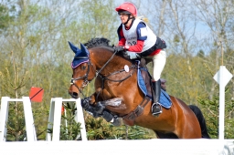 radolfzell-2015_cic1-133-jpg