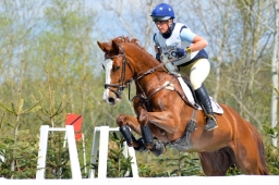 radolfzell-2015_cic1-135-jpg
