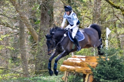 radolfzell-2015_cic1-136-jpg