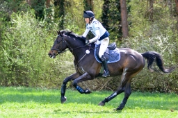 radolfzell-2015_cic1-137-jpg