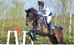 radolfzell-2015_cic1-138-jpg