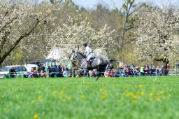 radolfzell-2015_cic1-139-jpg