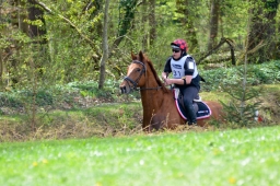 radolfzell-2015_cic1-141-jpg