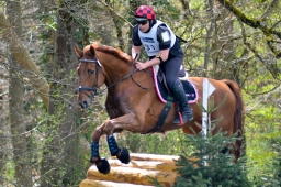 radolfzell-2015_cic1-142-jpg