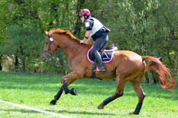 radolfzell-2015_cic1-143-jpg