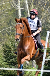 radolfzell-2015_cic1-144-jpg