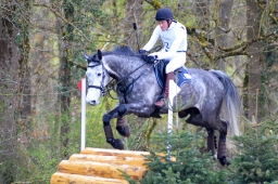 radolfzell-2015_cic1-146-jpg