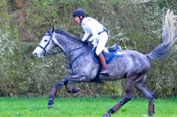 radolfzell-2015_cic1-147-jpg