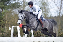 radolfzell-2015_cic1-149-jpg