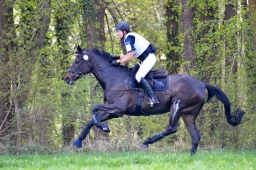 radolfzell-2015_cic1-150-jpg