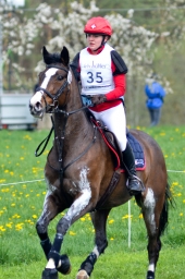 radolfzell-2015_cic1-151-jpg