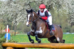 radolfzell-2015_cic1-152-jpg