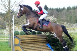 radolfzell-2015_cic1-153-jpg